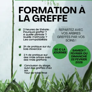 Formation à la greffe