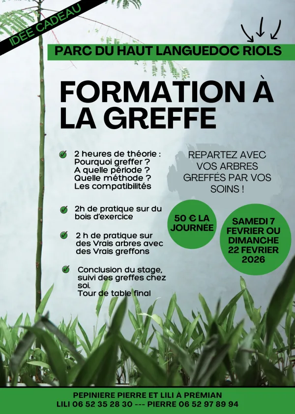 Formation à la greffe