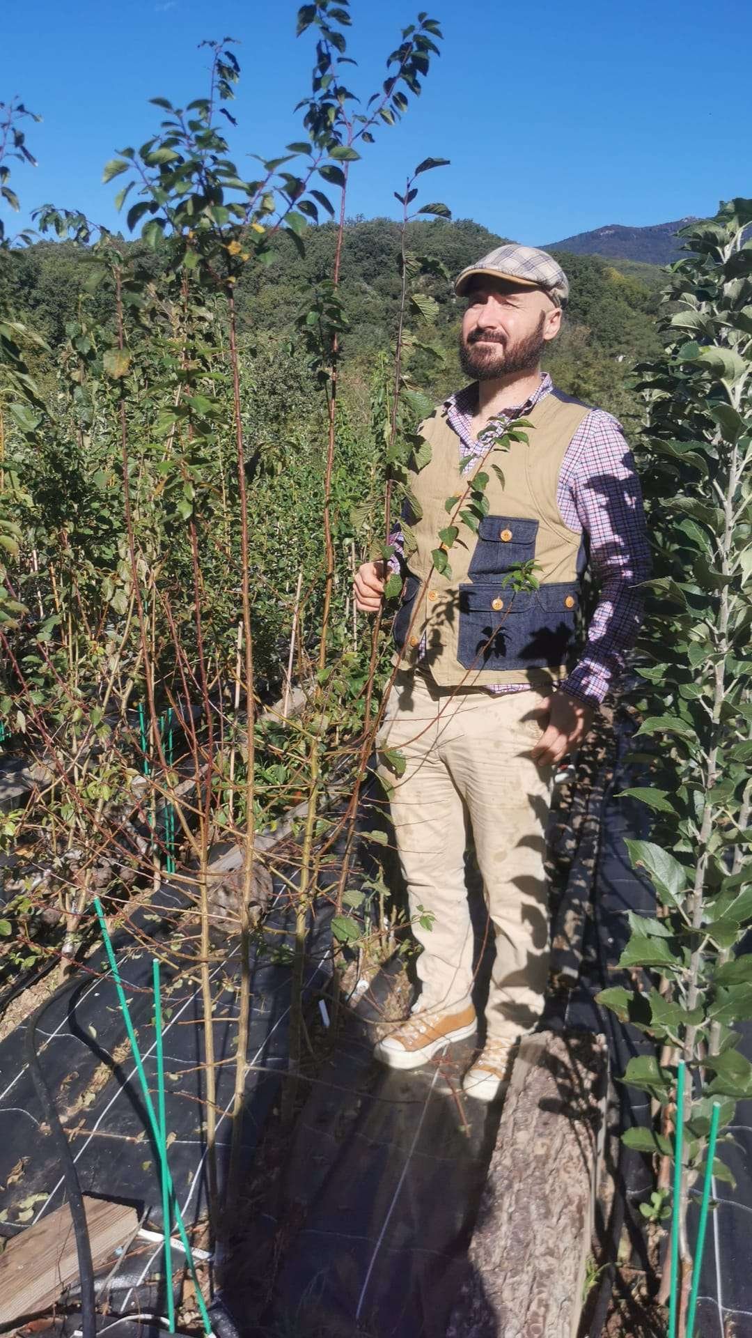 Prunier STANLEY – Image 2